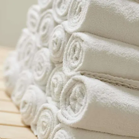 Hotel Ibis Styles Miradour Dax