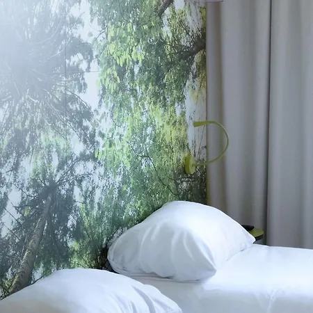 Ibis Styles Centre 3* 达克斯