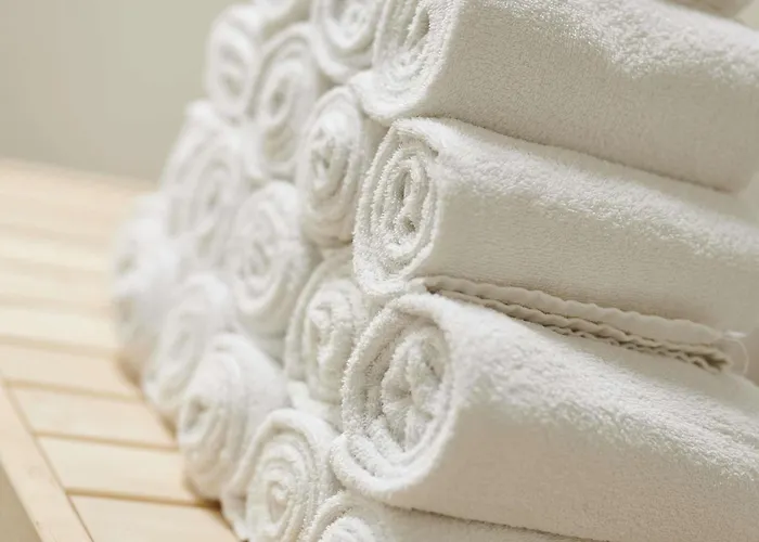 Hotel Ibis Styles Centre Dax